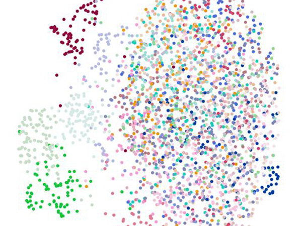 Scatterplot of multi-colored dots, with a large cluster of dots occupying roughly two-thirds of the frame, with smaller clusters aligned by color and scattered individual dots arranged along one side of the main cluster