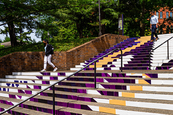 DTM Admissions photo featuring students walking down purple and gold UW stairs.