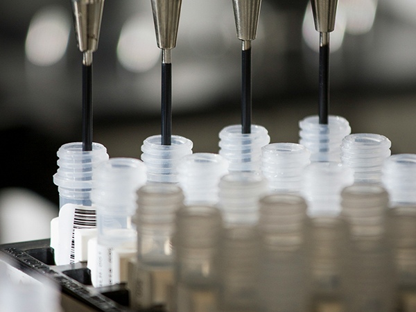 Vials of DNA samples being prepared for genetic sequencing