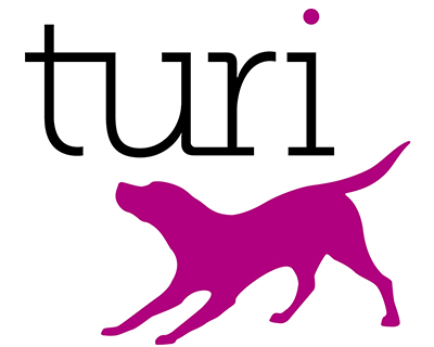 Turi logo